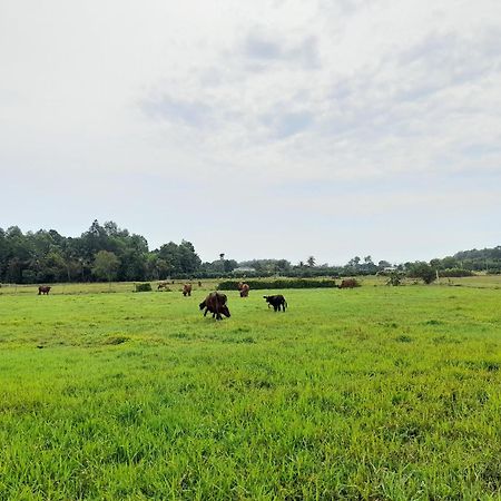 Lotus Farm Retreat Ho Chi Minh City Bagian luar foto