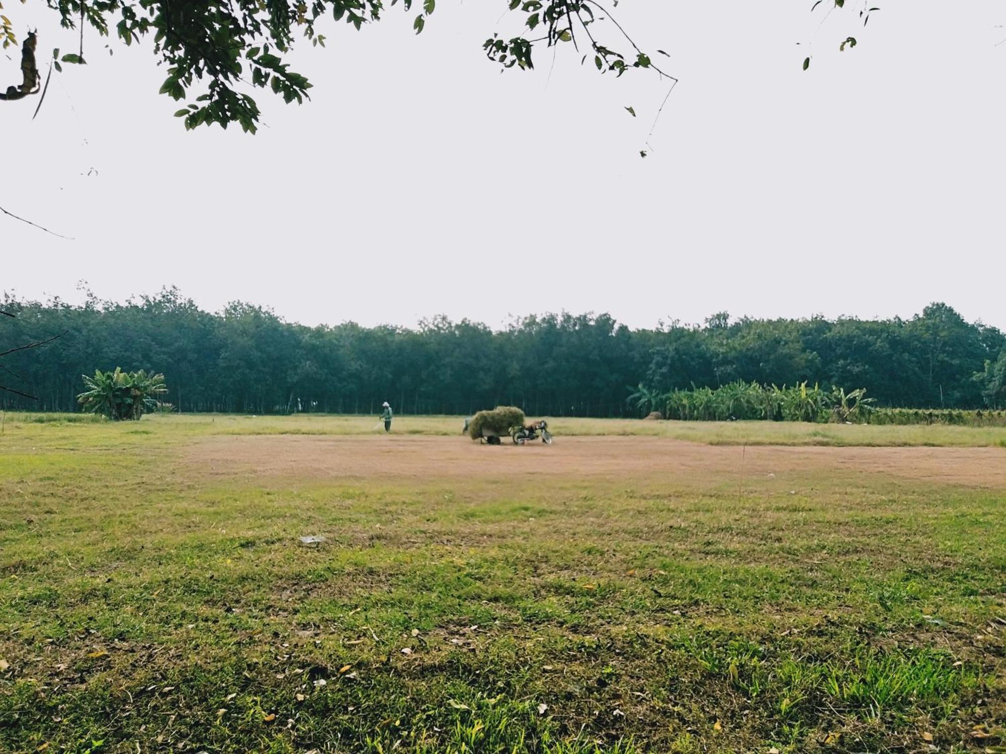 Lotus Farm Retreat Ho Chi Minh City Bagian luar foto