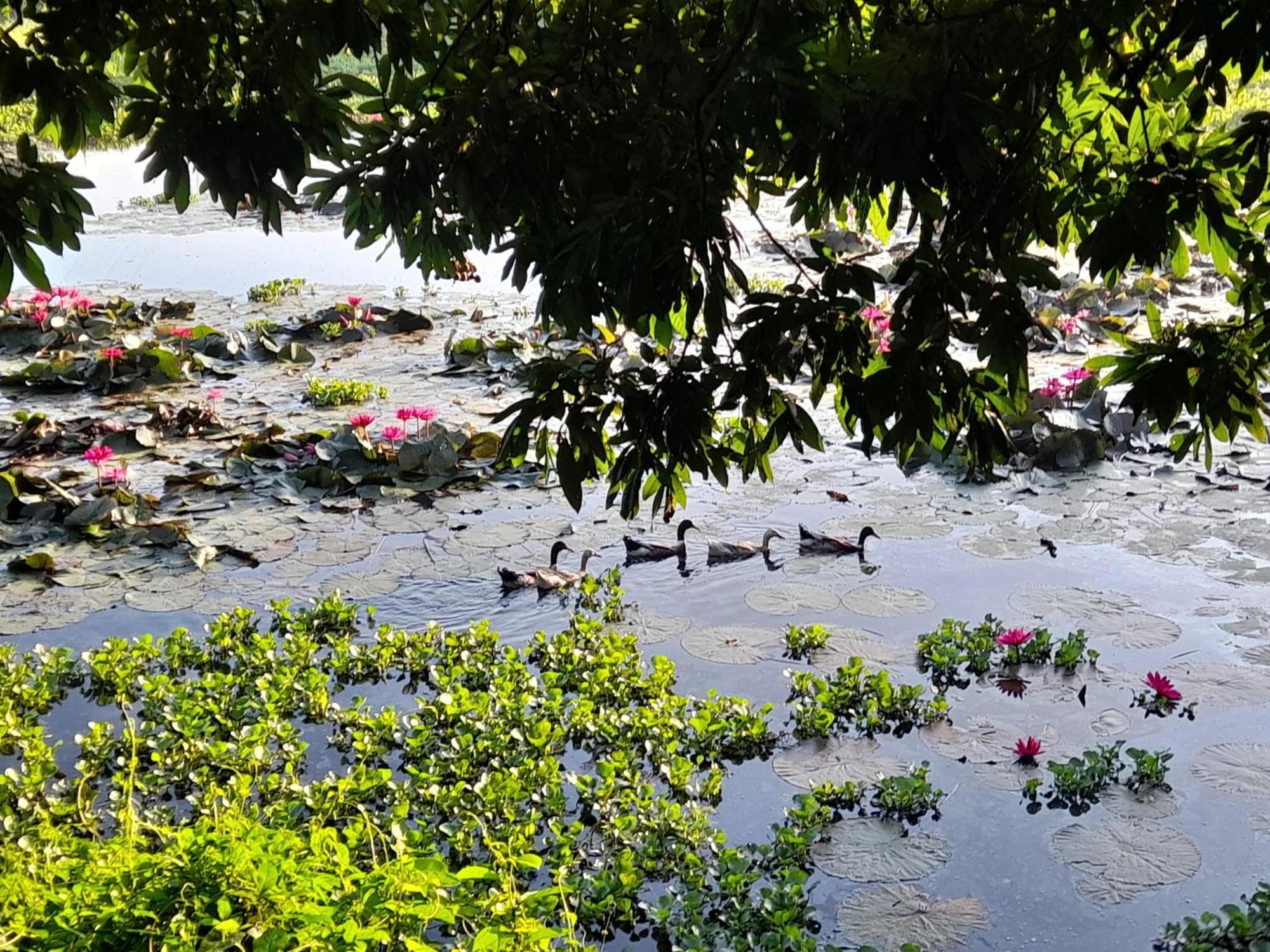 Lotus Farm Retreat Ho Chi Minh City Bagian luar foto