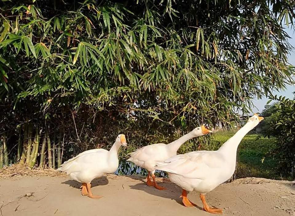 Lotus Farm Retreat Ho Chi Minh City Bagian luar foto
